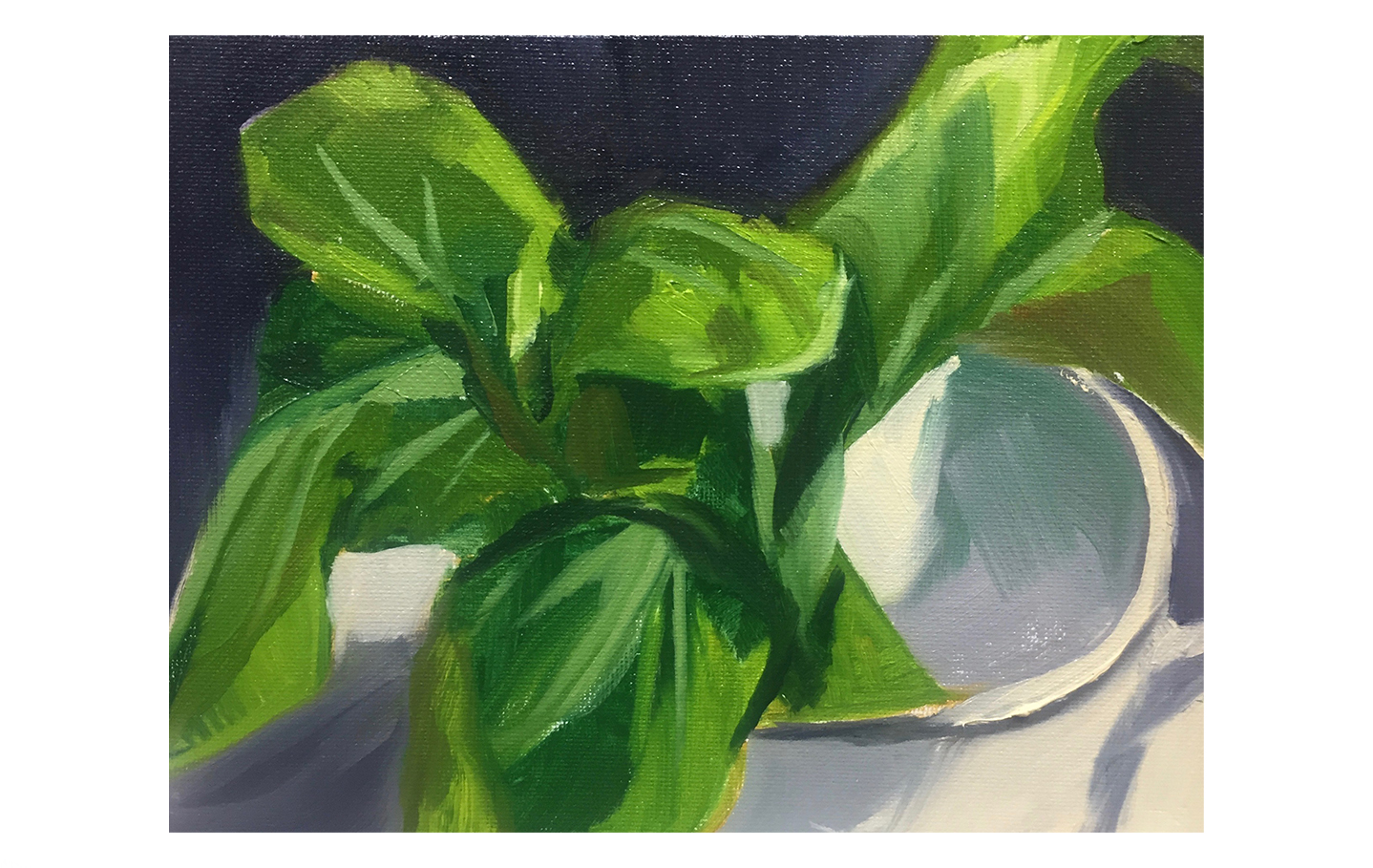 Bok-choy